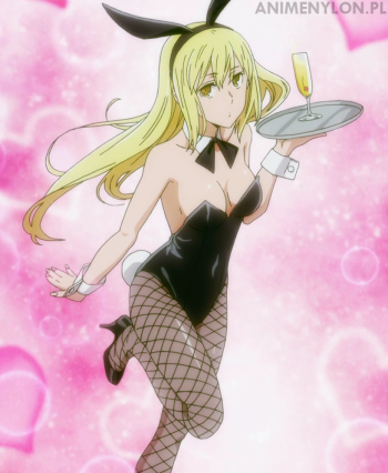 Dungeon ni Deai wo Motomeru no wa Machigatteiru Darou ka sword oratoria Ais Wallenstein bunny costume pantyhose tights nylon legs stockings