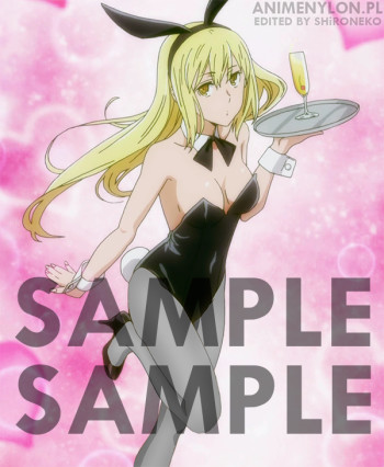 Dungeon ni Deai wo Motomeru no wa Machigatteiru Darou ka sword-oratoria ais wallenstein stockings pantyhose tights nylon