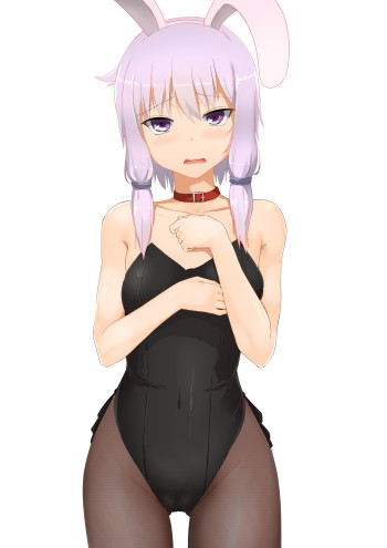 vocaloid voiceroid yuzuki yukari stockings anime bunny girl black tights pantyhose nylon collar